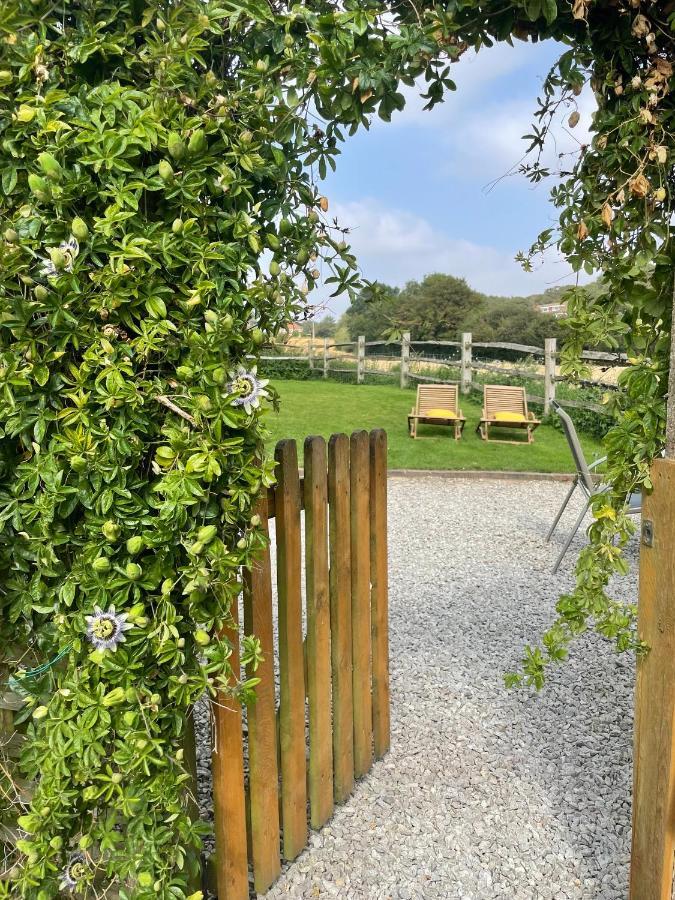 Holmdale Holiday Cottages Rye Luaran gambar